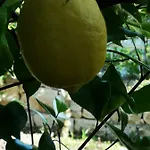 Meje * Сплит