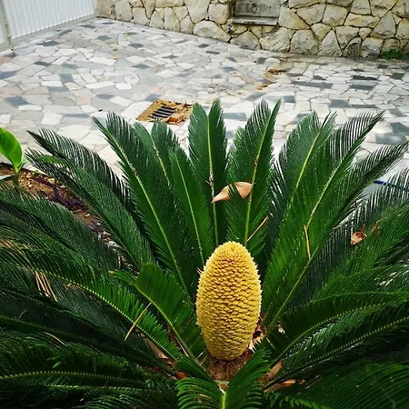 Apartamento Meje Split